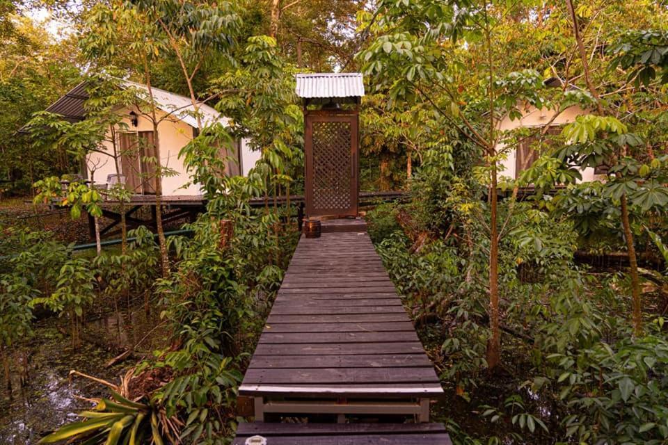 Hostel Dreamcatcher Eco (adults Only)