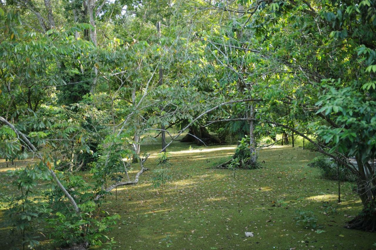 Hostel Dreamcatcher Eco (adults Only) Rio Dulce Town