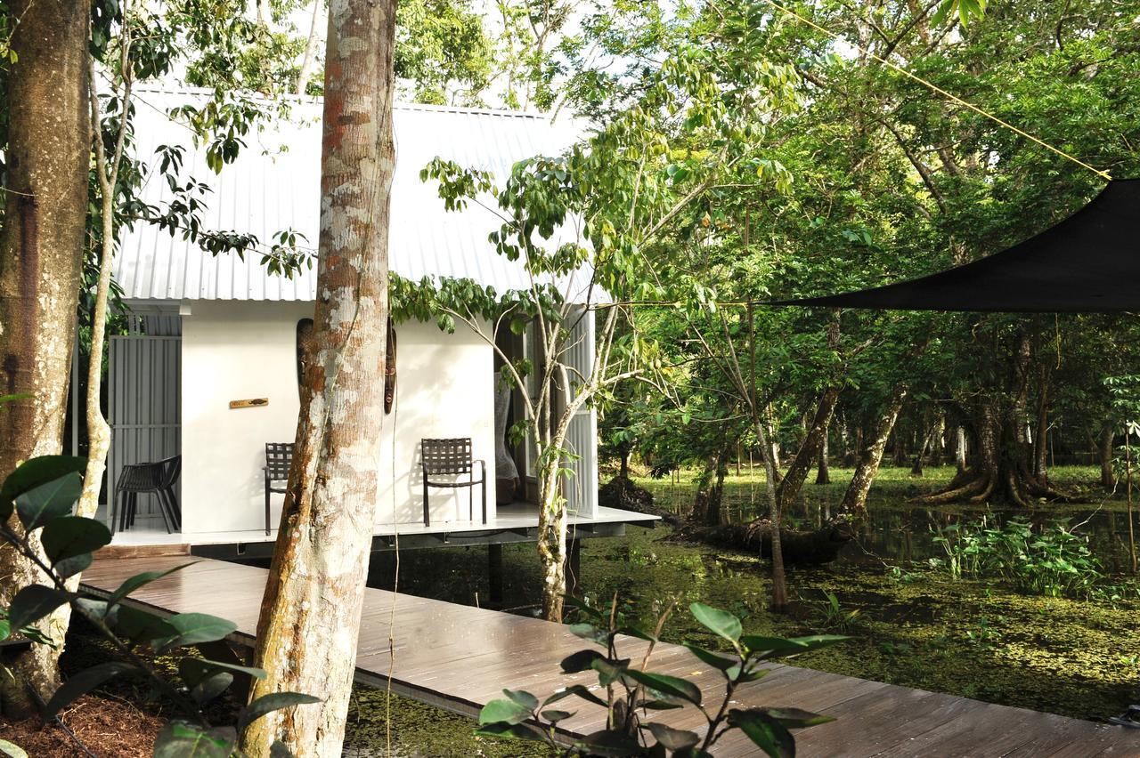 Hostel Dreamcatcher Eco Rio Dulce Town